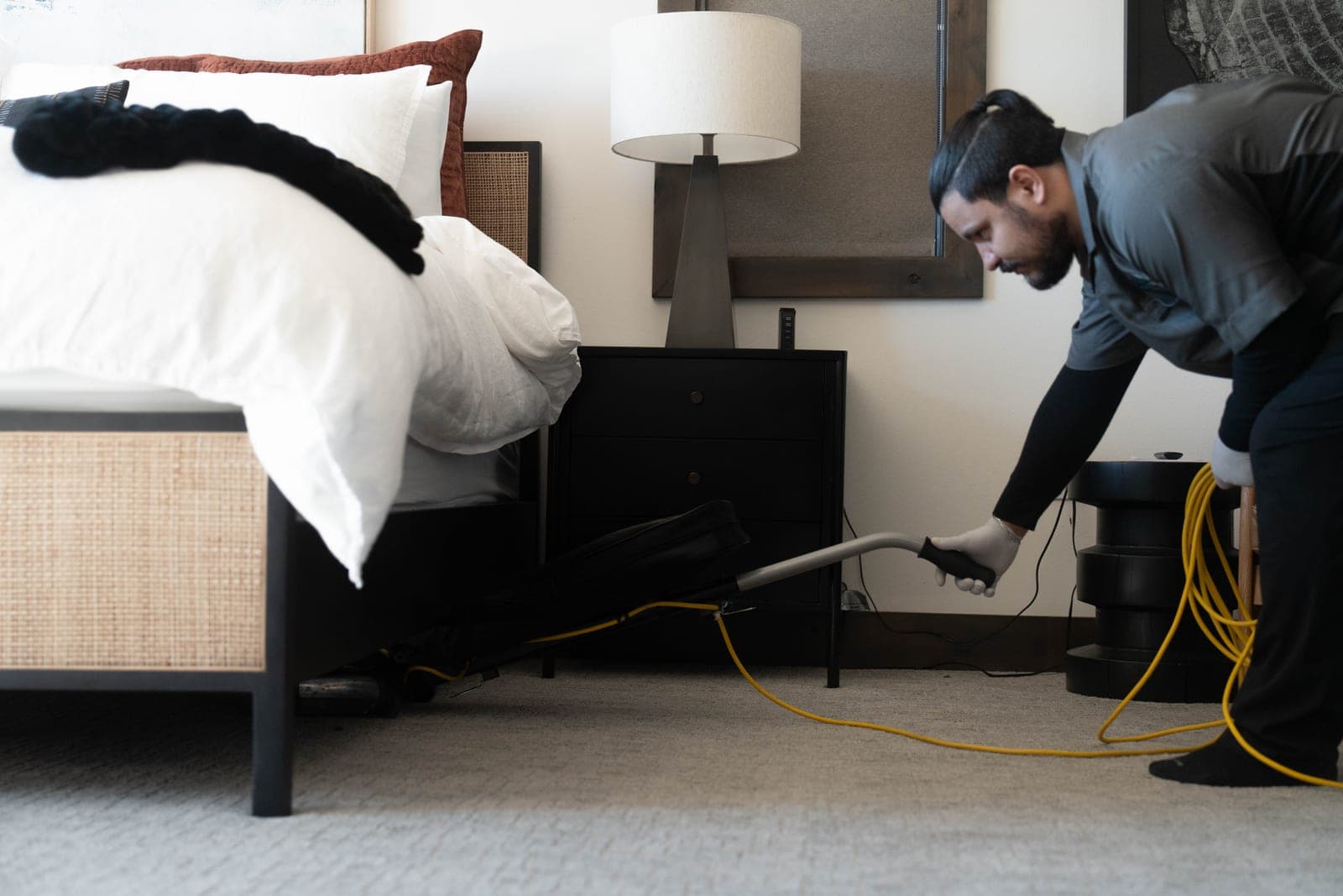 Carpet Cleaning