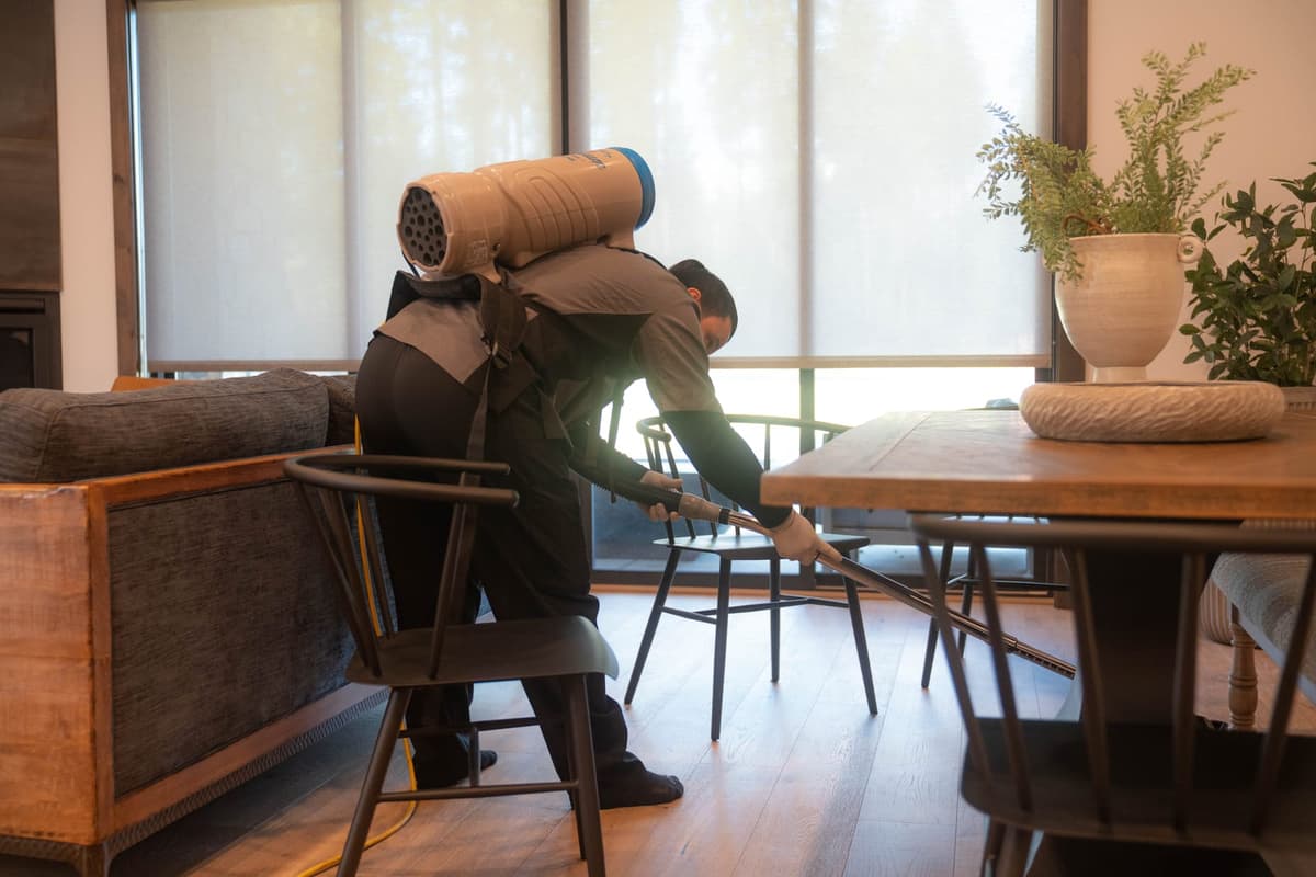 Redmond Cleaning Services professional service
