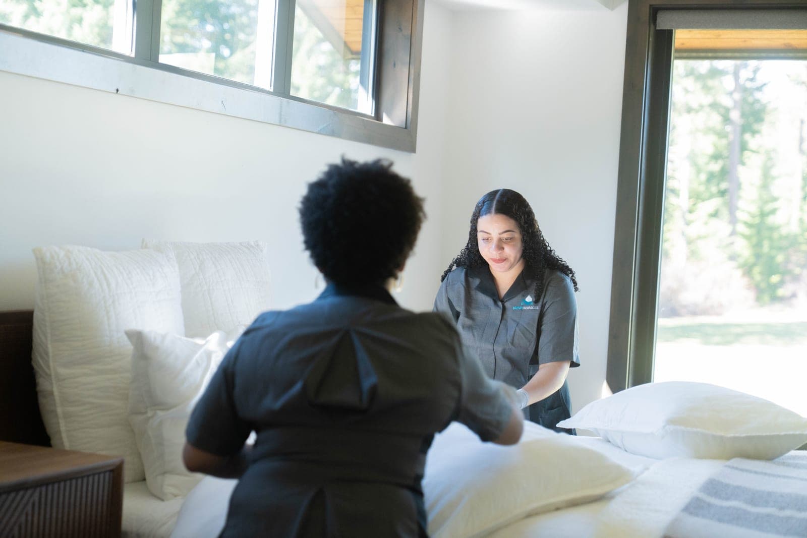 Professional Cleaners vs. DIY Cleaning