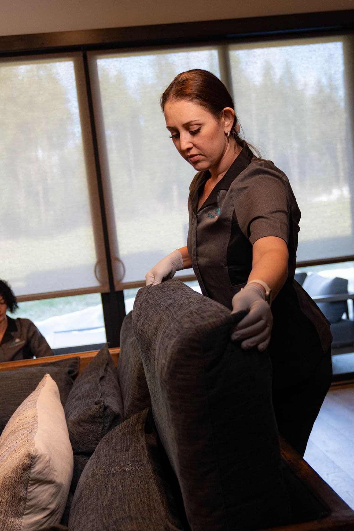 Nova cleaner cleaning a living room sofa in front of a large window