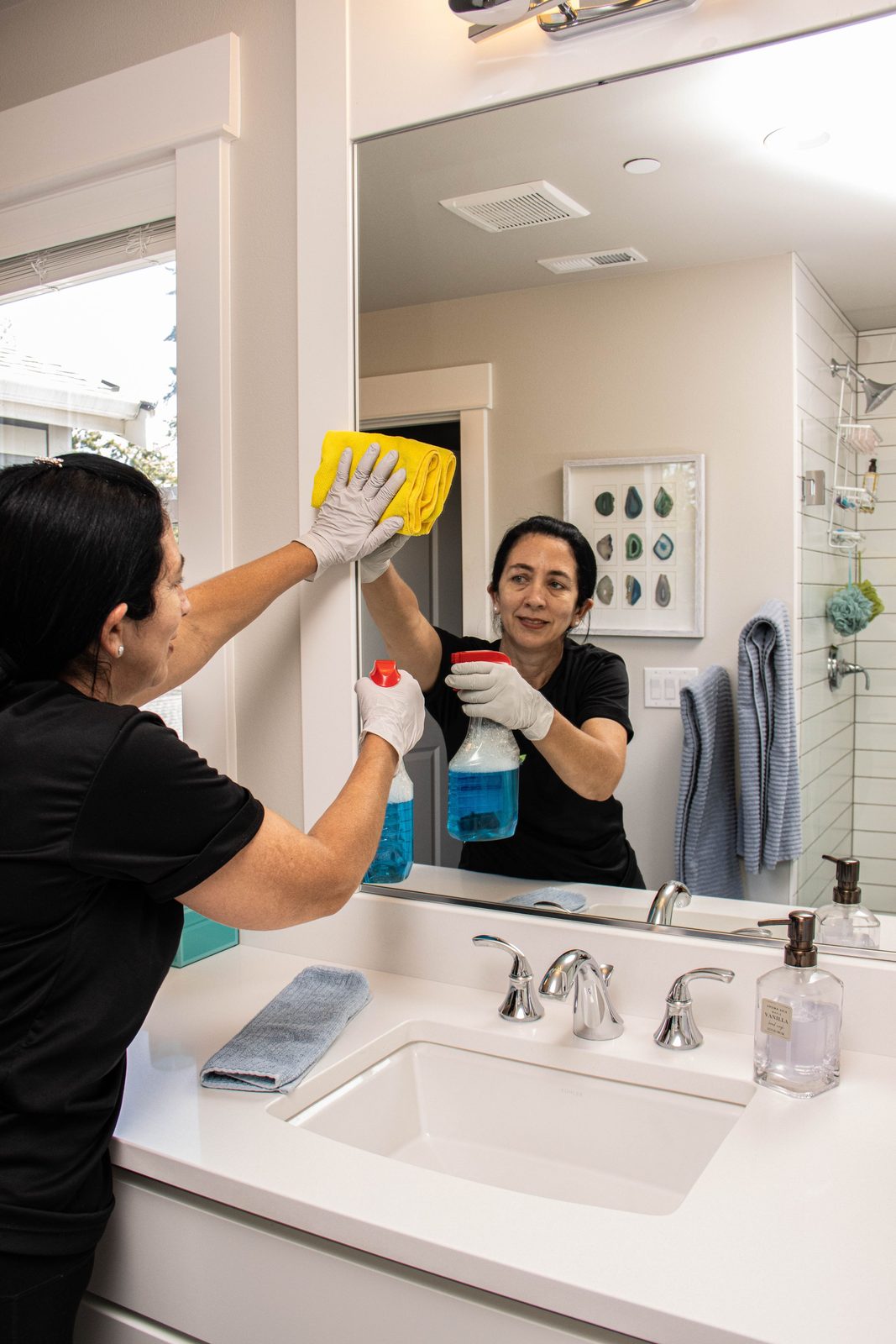 Deep Cleaning for Pet Owners in Duvall, WA
